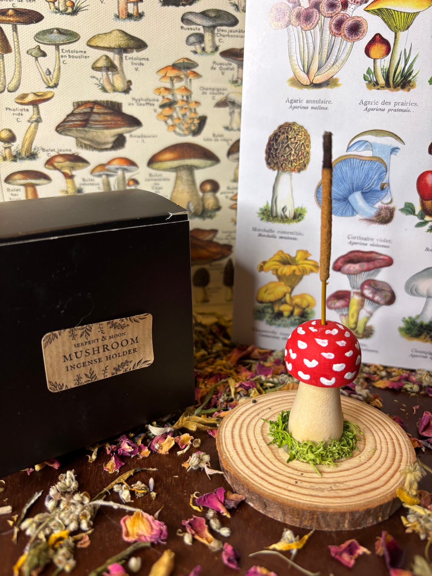 Mushroom Incense Holder